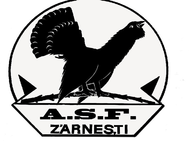 A.S.C. Olimpic Zărneşti II